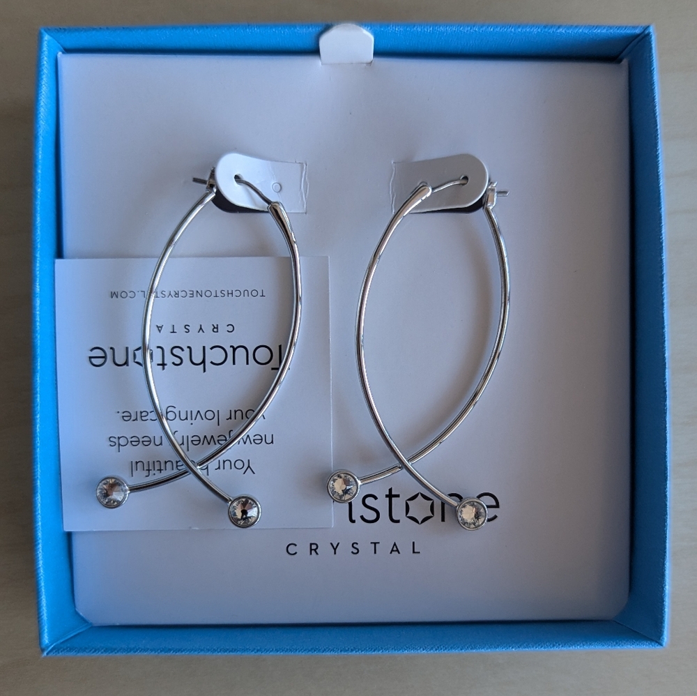 🌷 NWT 🌷 Silver Crystal Earrings